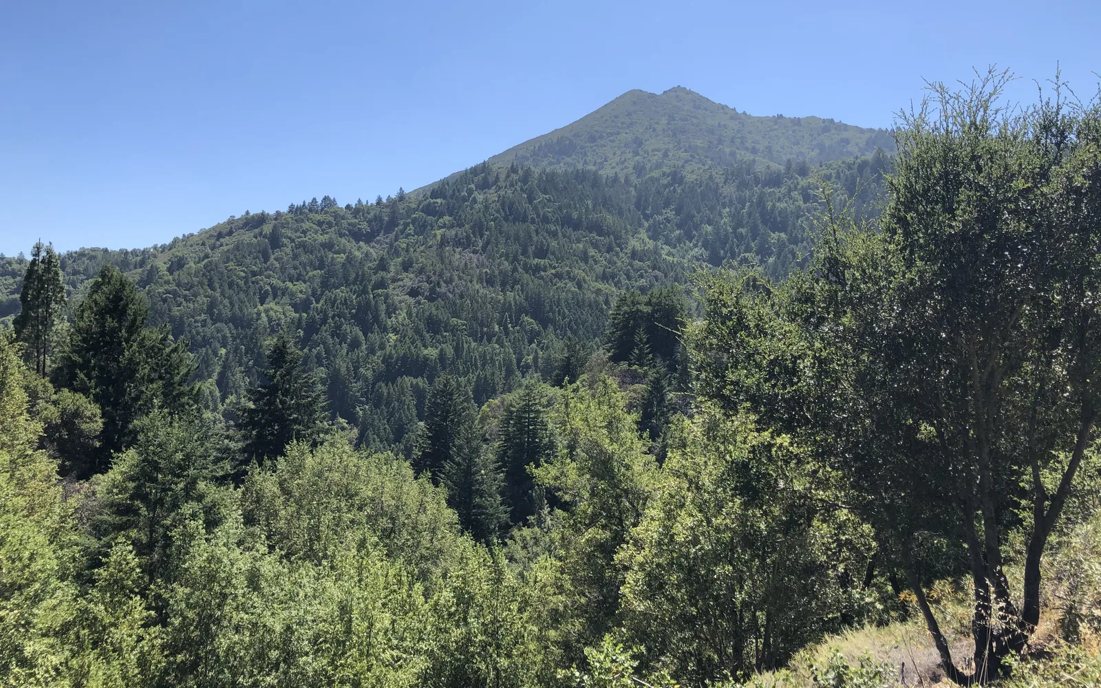 Aerial view of Mount Tamalpais and surrounding Marin County landscape